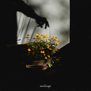 阿拉伯人丁丁视频内容
