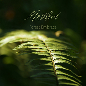 阿拉伯人丁丁视频内容
