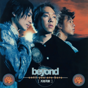 阿拉伯人丁丁视频内容
