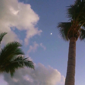 阿拉伯人丁丁视频内容
