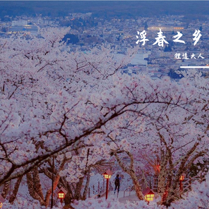 阿拉伯人丁丁视频内容
